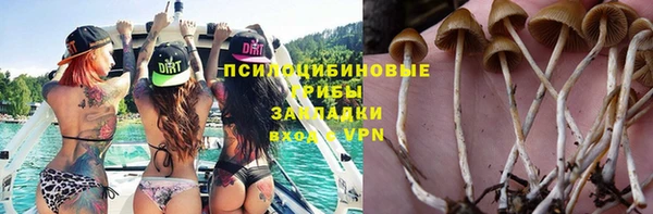 а пвп мука Абдулино