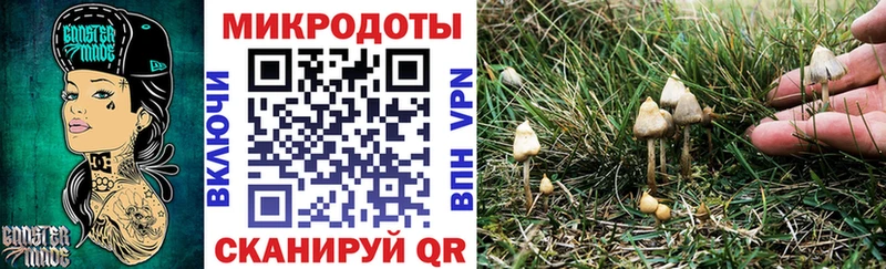 Галлюциногенные грибы Psilocybine cubensis  Людиново 